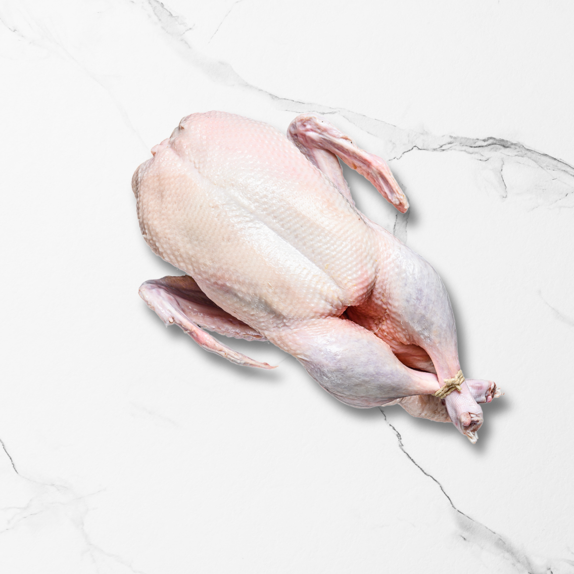 CANETTE PRÊTE À CUIRE