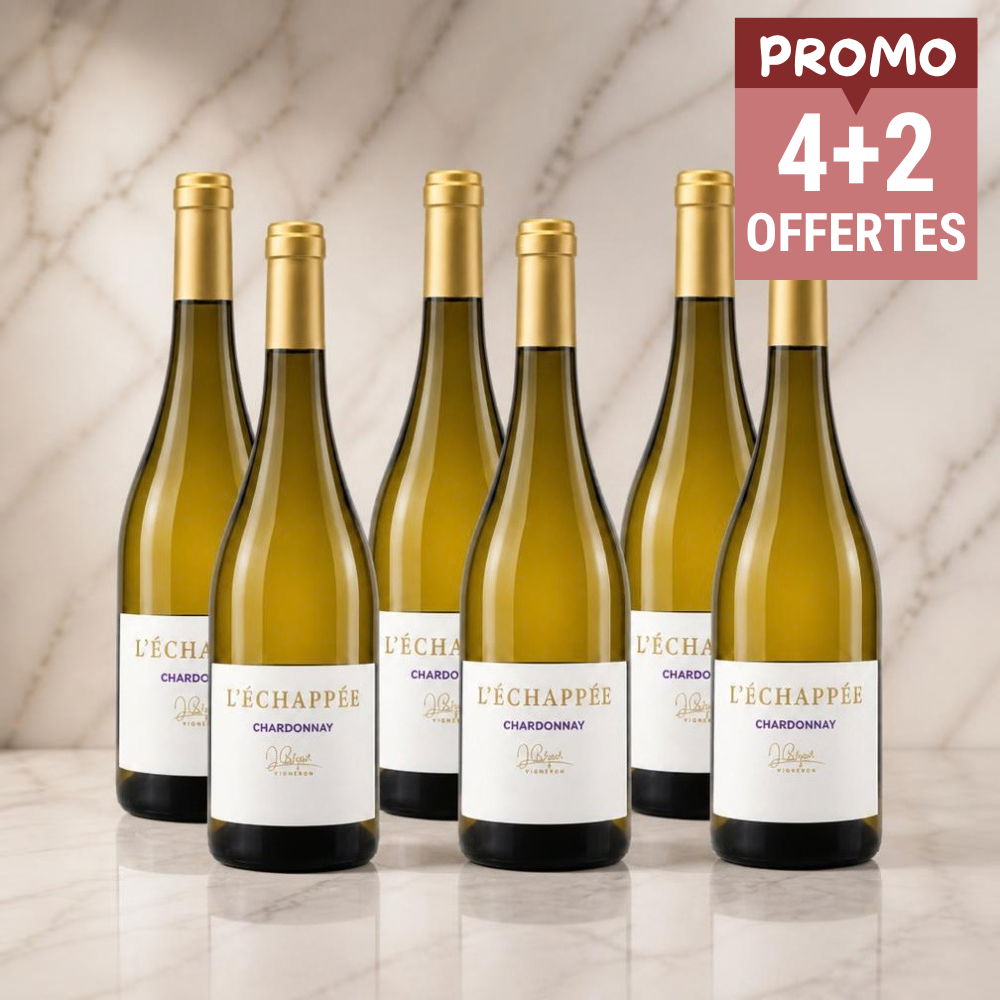 LOT DE 6 BOUTEILLES - VIN BLANC IGP CÔTES DU TARN L'ÉCHAPPÉE
