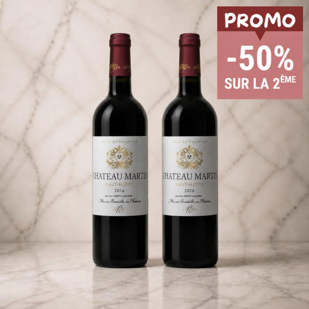 LOT DE 2 BOUTEILLES - VIN ROUGE HAUT MEDOC