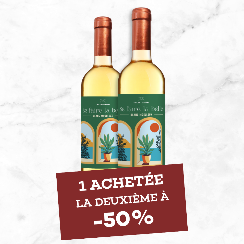 LOT DE 2 BOUTEILLES - VIN BLANC MOELLEUX COTES DU TARN SE FAIRE LA BELLE