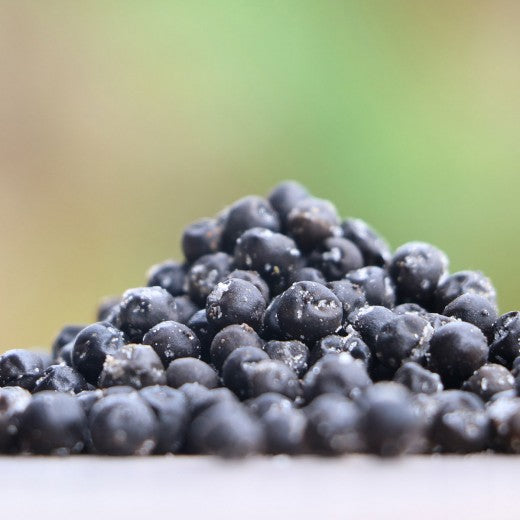 POIVRE DE KAMPOT FRAIS AU SEL